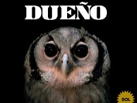 Las campañas de El Sol