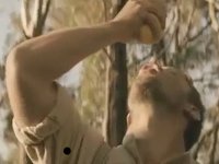 Schweppes